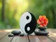 die-qualitaeten-von-yin-und-yang-erfahre-ihre-bedeutung