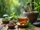 gesund-abnehmen-mit-tcm-die-ganzheitliche-methode
